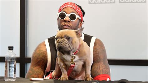 2 chainz goyard|2 Chainz Mourns the Death of His Popular Dog Trappy .